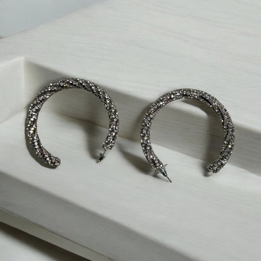 Silver Glittered earrings